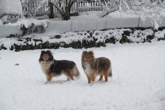Rila und Kuni im Schnee