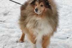 Aron-13-jahre