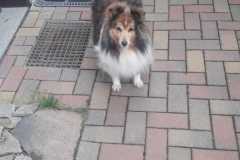 Alandra mit 13 Jahren
