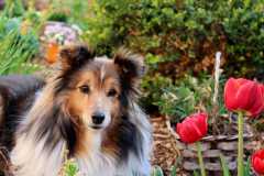Alandra mit 13 Jahren