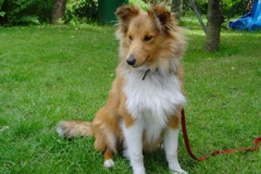 amila2