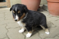 Betty-4-Wochen-02
