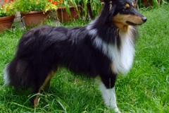 1jahr_balthasar