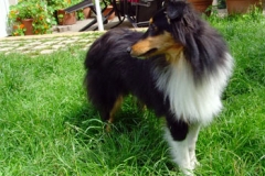 1jahr_balthasar1