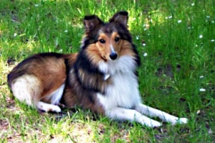 1jahr_bessy_wanda