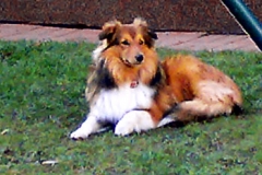 1jahr_bosco_kevin