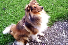 1jahr_bosco_kevin1