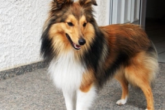1jahr_brian