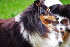 balthasar-2012