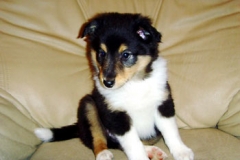 balthasar