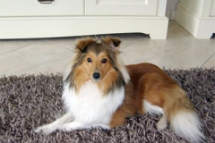 cora_2jahre