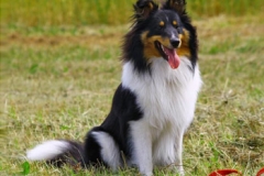 diamond-1jahr