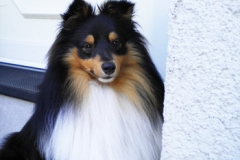 don-diego-1jahr