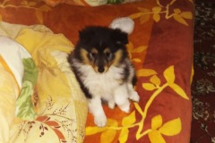 IMG-20230116-WA0001
