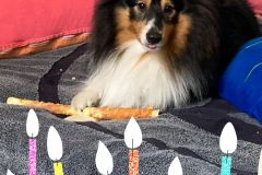 IMG-20240205-WA0005