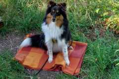 IMG-20230908-WA0000