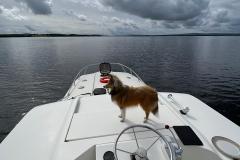 IMG-20230915-WA0000