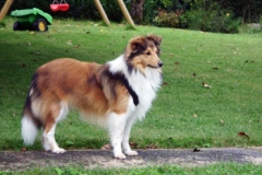 floyd04