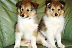 floyd-und-finlay-8-wochen