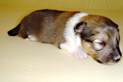 floyd02