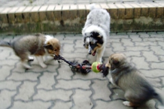 spielen_8wo