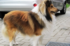gino-1jahr