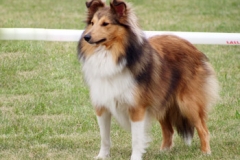 gloria