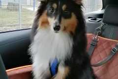IMG-20260302-WA0000