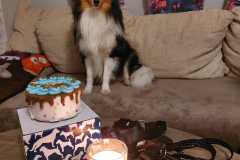 IMG-20260303-WA0000