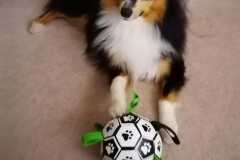 IMG-20260304-WA0000