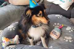 IMG-20260304-WA0001