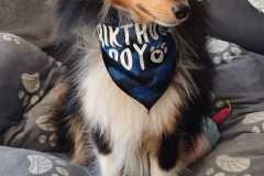 IMG-20260304-WA0002