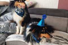 IMG-20260304-WA0003