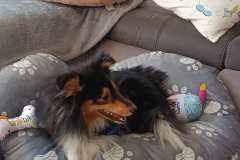 IMG-20260304-WA0004