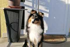 IMG-20260305-WA0000