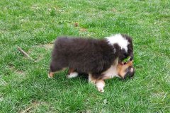 IMG-20250418-WA0003