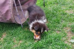 IMG-20250418-WA0004