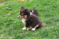 IMG-20250418-WA0006