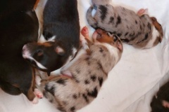 IMG-20251110-WA0001-web