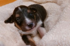 IMG-20251110-WA0002-web