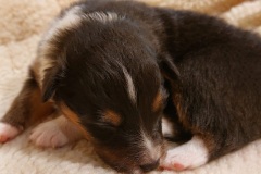 IMG-20251110-WA0003-web