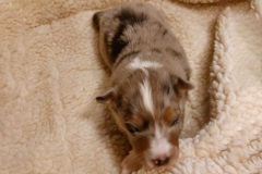 IMG-20251110-WA0004-web