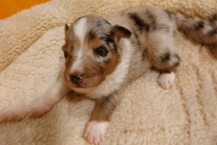 IMG-20251110-WA0005-web