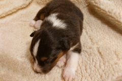 IMG-20251110-WA0006-web