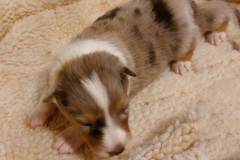 IMG-20251110-WA0007-web