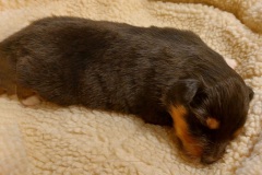 IMG-20251110-WA0008-web