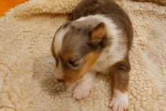 IMG-20251110-WA0010-web