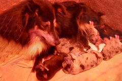 IMG-20251029-WA0001