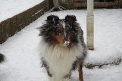 Randy im Schnee1