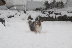 Udin im Schnee